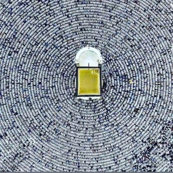 Meet your Posher, Amna - Picture 1 of 1